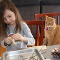 Working on a Fairy House With a Superviser