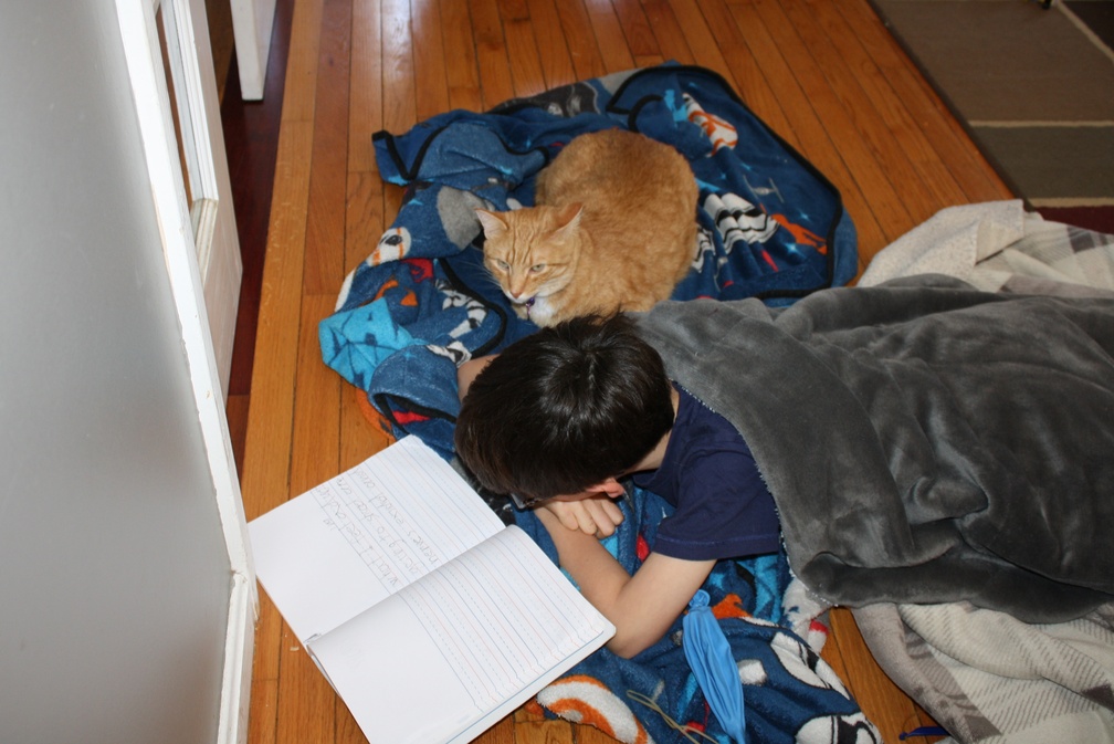 Journaling With the Cat