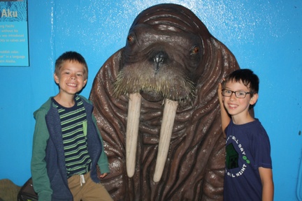 Walrus Boys