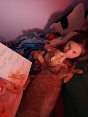 Phoenix In On Storytime