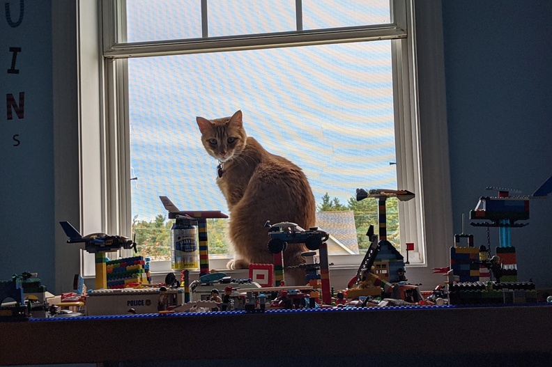 Phoenix King of the Lego Table