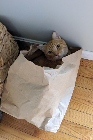 No You Cant Recycle My Bag