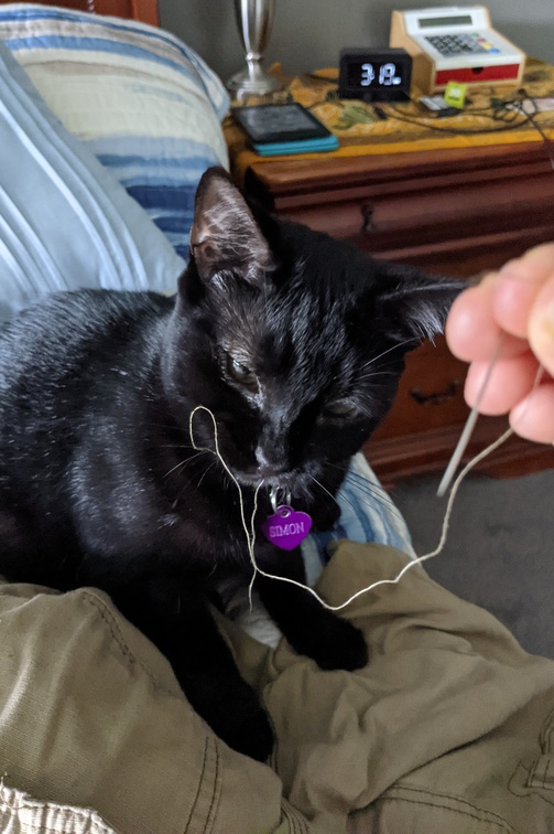 Trying to Sew With a Cat
