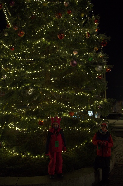 Portsmouth Has a Giant Tree.jpg