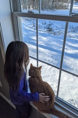 Watching the Birds Together