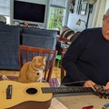 Phoenix Really Interested in the Guitar Stringing.jpg