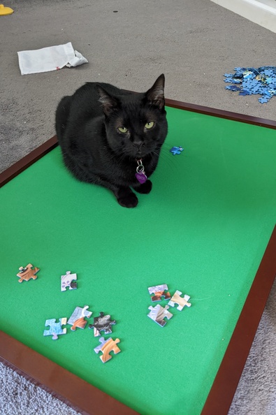 Not Your Puzzle Tray Simon