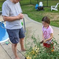 Grandpa Supervising the Weeding Evie