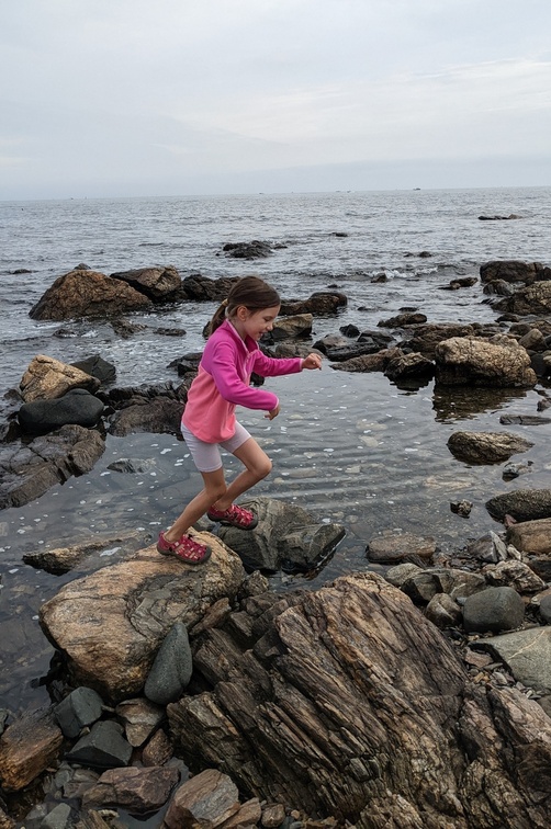 Leaping the Rocks