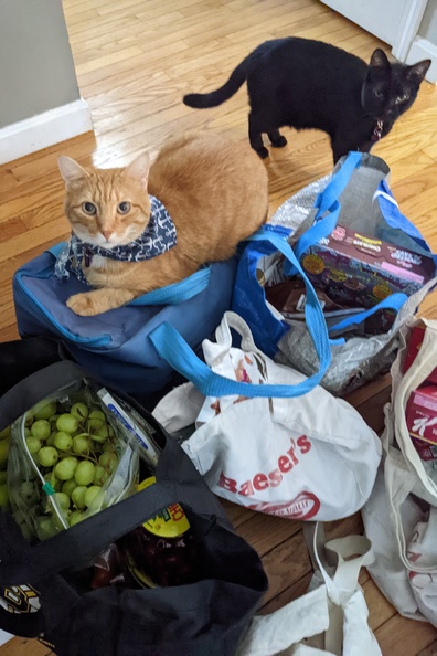 Not Helpful With Grocery Unloading