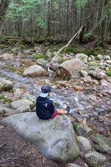 Watching the Babbling Brook