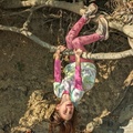 Hanging Upside Down on the Roots.MP