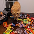 Phoenix Wants the Candy