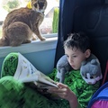 Reading With His Kitty.jpg