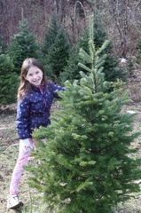 Evie Trying to Convince Us To Get Her a Personal Tree