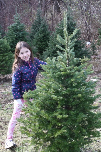 Evie Trying to Convince Us To Get Her a Personal Tree.JPG
