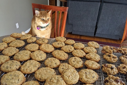 Contemplating the Cookies