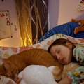 Out Cold With her Snuggly Kitty.NIGHT.jpg