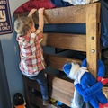 He Has Discovered the Ladder is a Bunk