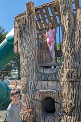 Tree Climbing Structure at the Playground
