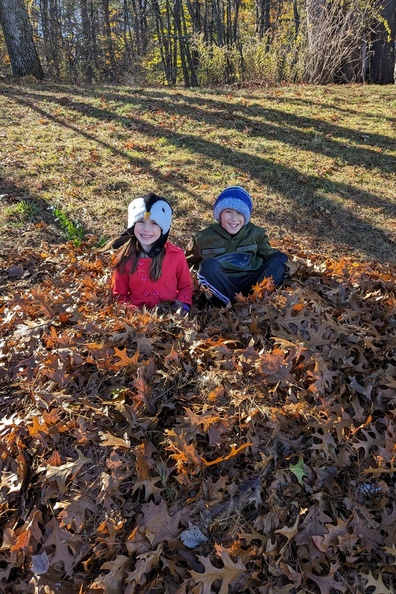An Impressive PIle of Leaves They Built.jpg
