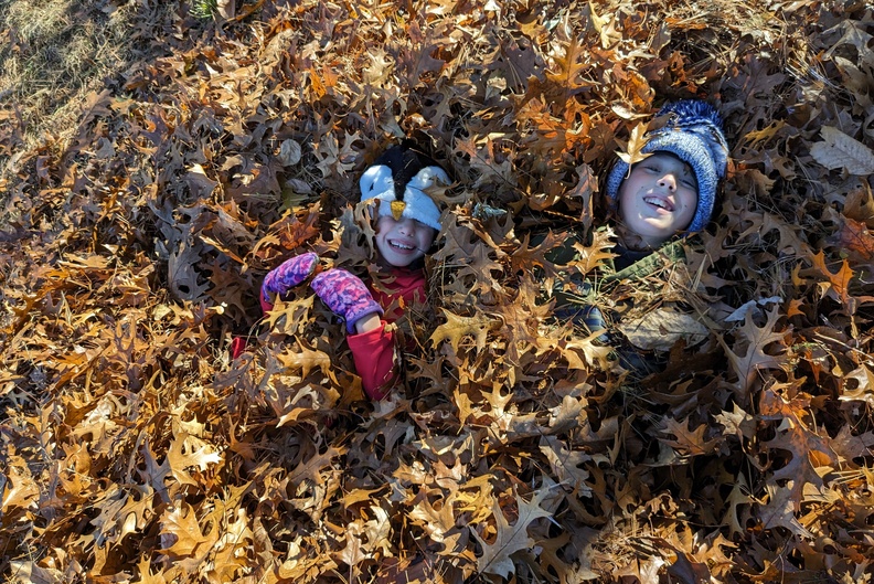 Just a Couple of Heads in the Leaves.jpg