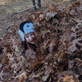 Crawling Through the Leaves.jpg