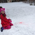 Delighted With Pink Snow.jpg