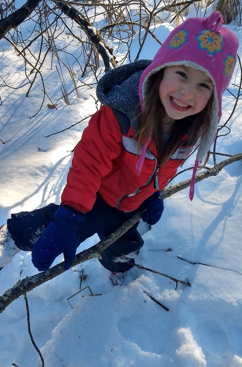 Snowy Branch Fun