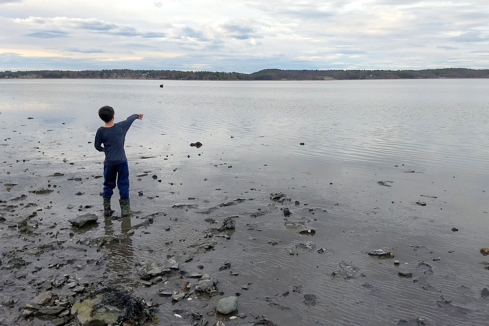 Skipping Rocks Into the Tide
