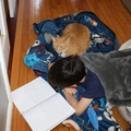 Journaling With the Cat