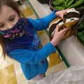 Grocery Shopping with Chippie