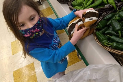 Grocery Shopping with Chippie