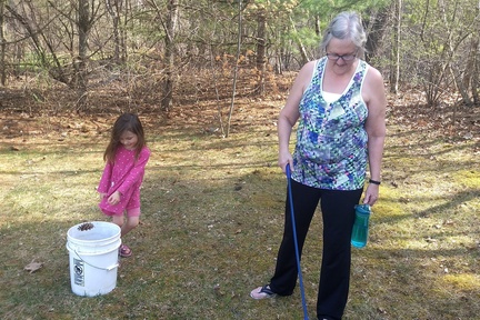 Pinecone Cleaning With Nana
