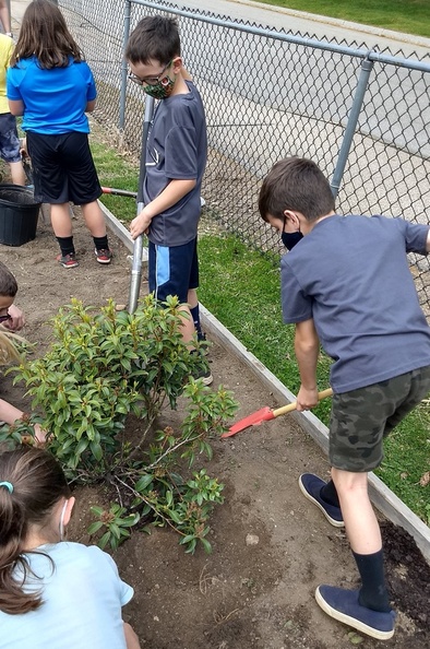 Planting at the School Garden