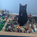 See Thomas Its Not Always Sissy Messing With the Lego