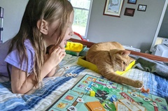 Phoenix Wanting to Play Monopoly Junior