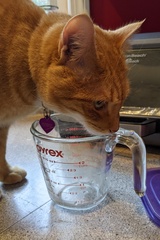 Guess I Have to Wash the Measuring Cup Now