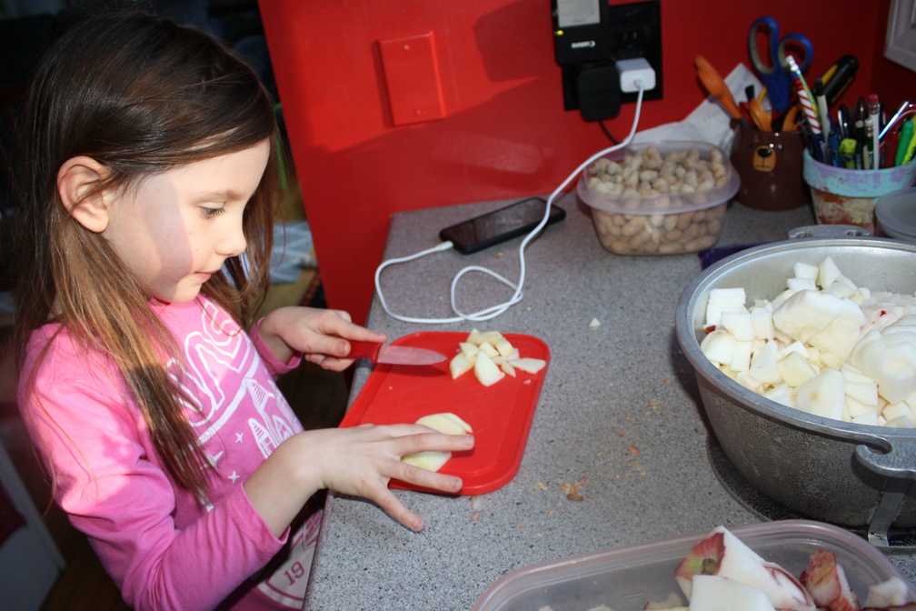Dicing Apples for Sauce