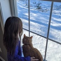 Watching the Birds Together