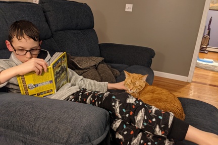 Reading and Petting the Cat