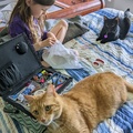Sewing With Two Interested Parties