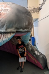 Thomas Getting Eaten By a Whale