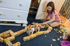Building a Princess Stable and Castle