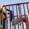 Just Hanging at the Playground
