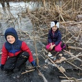 Cousins in the Reeds