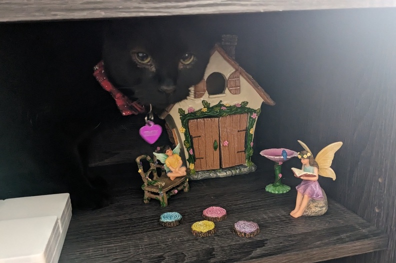 Simon Taking Over the Fairy House