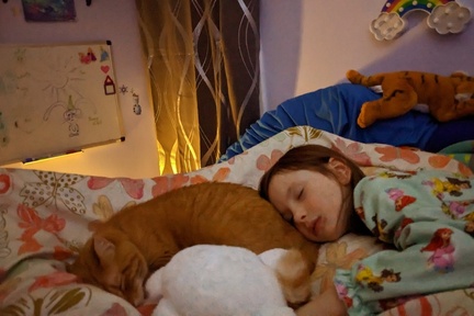 Out Cold With her Snuggly Kitty.NIGHT
