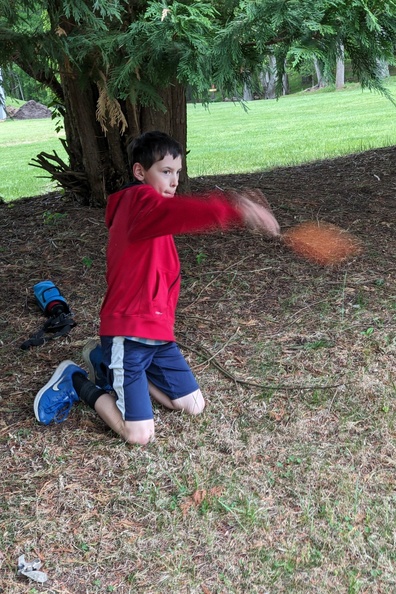 Trying a Trick Shot Under a Tree.jpg