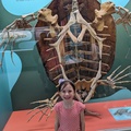 Evie and the Leatherback Turtle.jpg